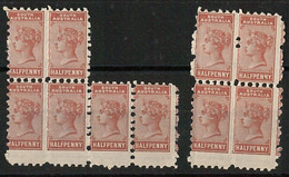 56838 - SOUTH AUSTRALIA - Stanley Gibbons # 182  MNH X 10 With PERFORATION ERROR - Neufs