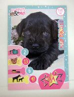 Puppies & Me! Panini  N. 34 Card - Autres & Non Classés