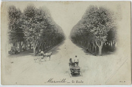 13 - MARSEILLE - CPA - Le Prado - Carte Photo Précurseur 1908 - Calèches, Voiture à Cheval - Castellane, Prado, Menpenti, Rouet