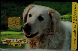 HUNGARY 1997 PHONECARD DOGS USED VF!! - Dogs