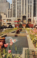 NEW YORK CITY - The Channel Gardens, Rockefeller Center, With Flags Of The United Nations In The Background. - Parken & Tuinen