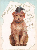 03111 "SCOTLAND BRINGS THIS WISH OF MINE, AND BARKS A RINGING - CANE CON CAPPELLO"    BIGLIETTO AUGURALE - Autres & Non Classés