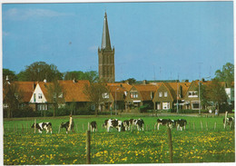 Gezicht Op Steenwijk - Koeien In De Wei, Boer, Kerk - (Ov., Nederland / Holland) - Steenwijk