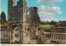 Mellifont Abbey, Co Louth, Ireland - Louth