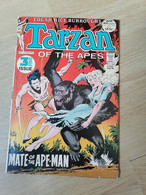 TARZAN - N° 209 - Année 1972 - édition Anglais - MATE Of The APE-MAN - Le Seigneur De La Jungle - EDGAR RICE BURROUGHS - Zeitungscomics