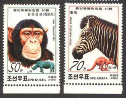 DPRK - MONKEY - RHINOCERES - ZOO - **MNH - 1999 - Schimpansen