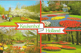 SCENES FROM KEUKENHOF, LISSE, HOLLAND. UNUSED POSTCARD Ak6 - Lisse