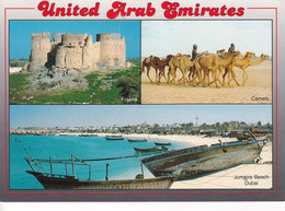 United Arab Emirates - Postcard Unused  - Multiple Images - 2/scans - United Arab Emirates