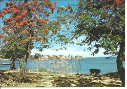 GUADELOUPE - MOULE - L'autre Bord - Saint Martin