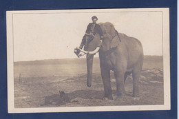 CPA éléphant Carte Photo Non Circulé Cirque Circus ? - Éléphants