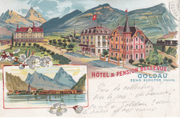 Suisse - Hôtel - Goldau - Hôtel Pension Bellevue - Circulée 21/07/1903 - Litho - Bellevue