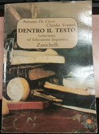 DENTRO IL TESTO - ANTONIO DI CICCO / CLAUDIO VENTURI - ZANICHELLI - 1998 - M - Jugend
