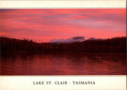 (5 A 4) Austrralia - TAS -  Lake St Clair - Wilderness