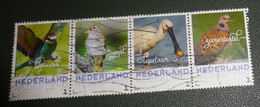 Nederland - NVPH - 3013 - Vogels - 2017 - Persoonlijk Gebruikt - Vogel - 4x - Bijeneter - Nachtegaal - Lepelaar - Tortel - Timbres Personnalisés