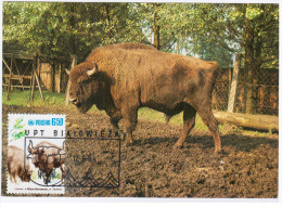 Poland 1984 Fauna Wisent Bison Animal Mammal Canceled In Bialowieza - Maximum Cards