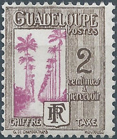 Guadeloupe,France(old Colonies And Protectorates)CHIFFRE TAXE,TAX NUMBER, 2c Mint - Timbres-taxe