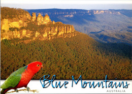 (5 A 11) Australia - NSW - Blue Mountains UNESCO - Sonstige & Ohne Zuordnung