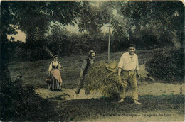 Agriculture * La Vie Aux Champs * La Rentrée Des Foins * Agricole Paysans Fermiers - Autres & Non Classés