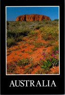 (5 A 16) Australia - World Heritage - NT - Uluru - Uluru & The Olgas