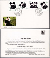 1985 China FDC T106 Giant Panda - 1980-1989