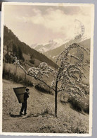 Frühlingstag Im Urnerland (Riemenstaldental) (Suisse)  Ed. Schidknecht 874 A, Cpsm GF - Riemenstalden