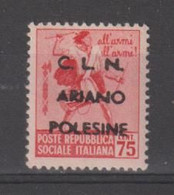 R.S.I. - C.L.N.:  1945  ARIANO  POLESINE  -  75 C. CARMINIO  N. -  SOPRASTAMPA  NERA  -  ERRANI  351 - National Liberation Committee (CLN)
