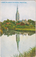 Salisbury Cathedral From River - Salisbury