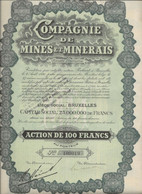 COMPAGNIE DE MINES ET MINERAIS- ACTION SE 100 FRS  - ANNEE 1928 - Mijnen