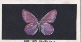 8 Common Blue - British Butterflies 1926 -  Phillips Cigarette Card - Original - Phillips / BDV