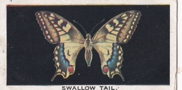 1 Swallow Tail - British Butterflies 1926 -  Phillips Cigarette Card - Original - Phillips / BDV