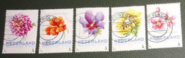 Nederland - NVPH - Uit 3012-Ac-5 - 2014 - Persoonlijke Gebruikt - Brinkman - Bloemen Najaar - Personalisierte Briefmarken