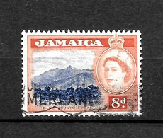 LOTE 2217 ///   JAMAICA BRITANICA - ¡¡¡ OFERTA - LIQUIDATION - JE LIQUIDE !!! - Jamaica (...-1961)