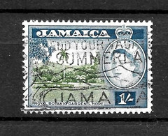 LOTE 2217 ///  JAMAICA BRITANICA  ¡¡¡ OFERTA - LIQUIDATION - JE LIQUIDE !!! - Jamaica (...-1961)