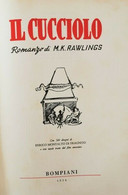 Il Cucciolo  Di M. K. Rawlings,  1956,  Bompiani - ER1 - Teenagers