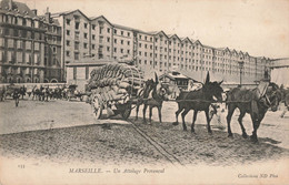 France (13 Marseille) - Un Attelage Provençal - Petits Métiers