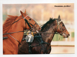 - CPM HIPPISME - VINCENNES : Deux Beaux Spécimens De Trotteur Français - Photo Drevet N° 3 - Editions ROSÉA SÉVIGNY - - Paardensport