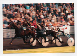 - CPM HIPPISME - VINCENNES : Une Belle Lutte Devant Les Tribunes - Photo Drevet N° 6 - Editions ROSÉA SÉVIGNY - - Horse Show