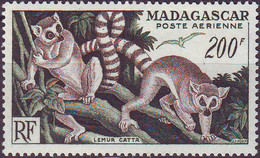 MADAGASCAR - LEMUR - **MNH - 1954 - Schimpansen