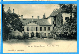 PRO176, Château De Bursinel, Animée, 502, Précurseur, Circulée 1904 - Bursinel