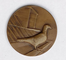 Ancienne Medaille Old Medal 1928 Bronze Brons Pigeon Duif CRA Colombophile Paloma A. Matthijssens - Sonstige & Ohne Zuordnung