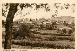 Belmont * Vue Générale Du Village - Belmont De La Loire