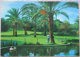 ISRAEL KIBBUTZ YAD MORDEHAI MEMORIAL GAZA STRIP ASHKELON CPM PC PICTURE PHOTO CARD POSTCARD CARTOLINA ANSICHTSKARTE - New Year