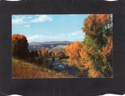105369      Stati  Uniti,    Colorado  River  In The  Fall  Colorado  Rockies,  VG  1963 - Fort Collins