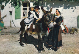 France Carte Postale Folklore De France 30 En Poitou Les Pibolous De La Motte St Heray (Ecrite) - Poitou-Charentes