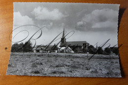 St. Sint-Maria-Lierde. Maria Magdalene Kerk Eglise - Lierde