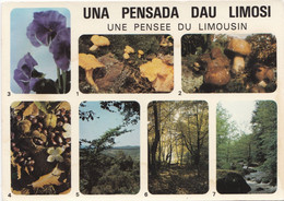 Carte Postale Neuve, Pensée Du Limousin - Paddestoelen