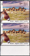 DONKEYS- ASS OF KUTCH-INDIA - PAIR- 500p- MNH- INDIA-2013-MNH-B3-1047 - Donkeys