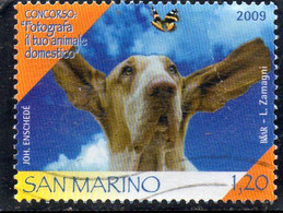 2009 San Marino - Fotografa Il Tuo Animale Domestico - Gebraucht