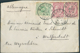 CANTONS De L'EST - N°45-46(2) Obl. Sc MONTZEN Sur Document Du 2-08-1885 vers Wulferstedt NEUWEGERSLEBEN.  18793 - 1884-1891 Leopold II