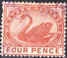 WESTERN AUSTRALIA, FAUNA, UCCELLI, BIRDS, CIGNO NERO, 1890, 4 P.,  USATO Mi:AU-WA 37, Scott:AU-WA 65, Yt:AU-WA 46 - Gebruikt